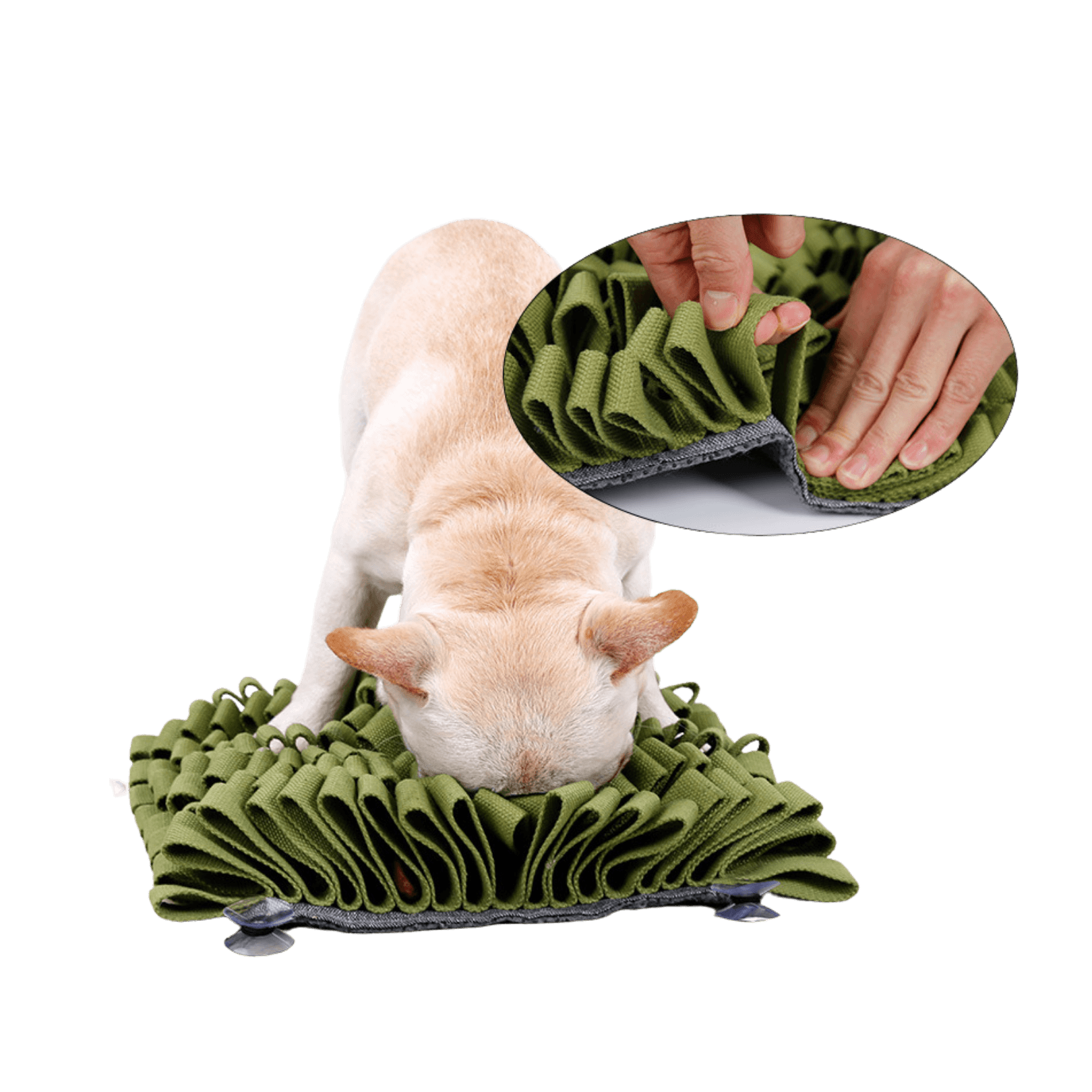 Grass-like Snuffle Mat｜PupUp