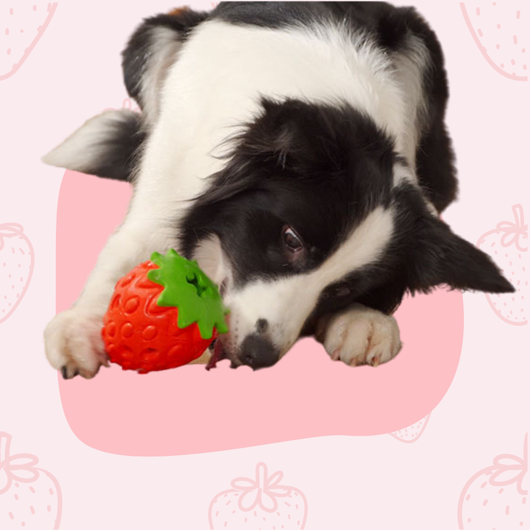 Pup-diva Strawberry Fudge