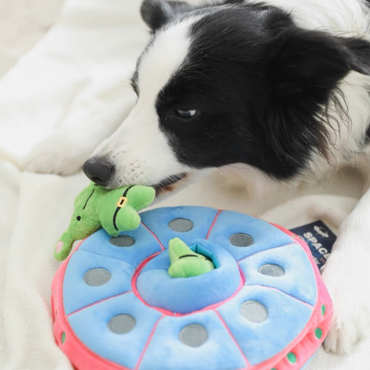 Fly Me to the Moon with the my Snacks Snuffle Toy