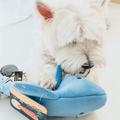 "Jaws & Paws" Hide-and-Seek Dog Toy｜PupUp