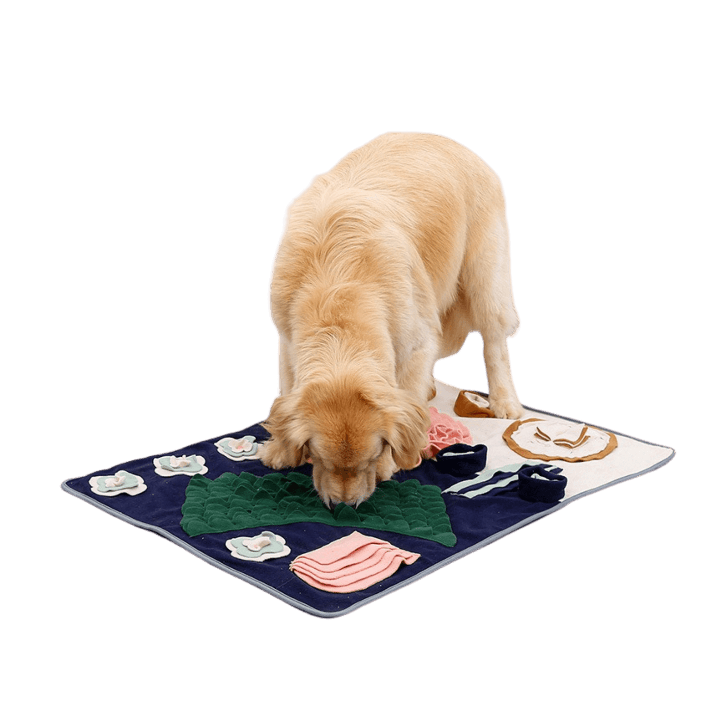 Training Pet Snuffle Mat – Lovepawz